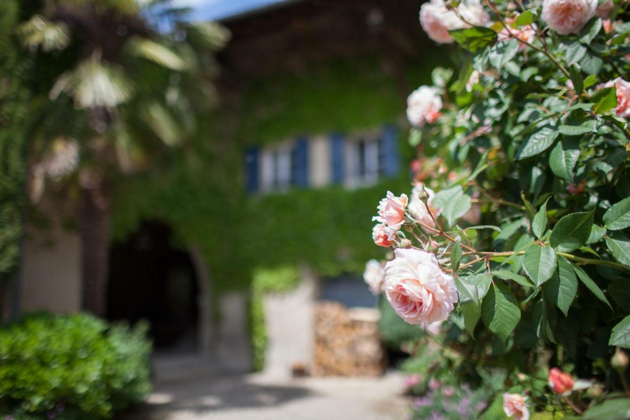 Le Clos Du Perret Chaussan Eksteriør billede